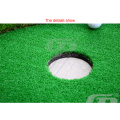 Golf de forme de S plaçant le vert / tapis vert de putting / herbe artificielle mettant vert / pratique de golf